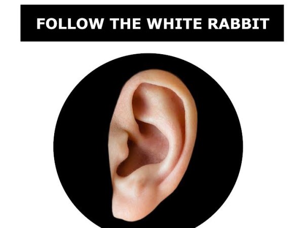 Пροοίμῐον – O sile upodmiotawiajacej transformacji kobiecości w snach Izabeli Alicji&nbsp;Cern